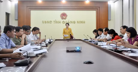 我省人民委员会副主席武氏秋水在会上发表讲话。