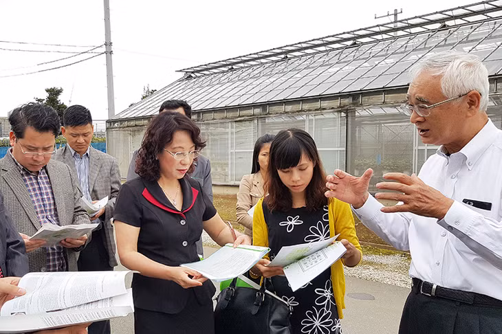 广宁省参观千叶大学高科技蔬菜试验生产基地。