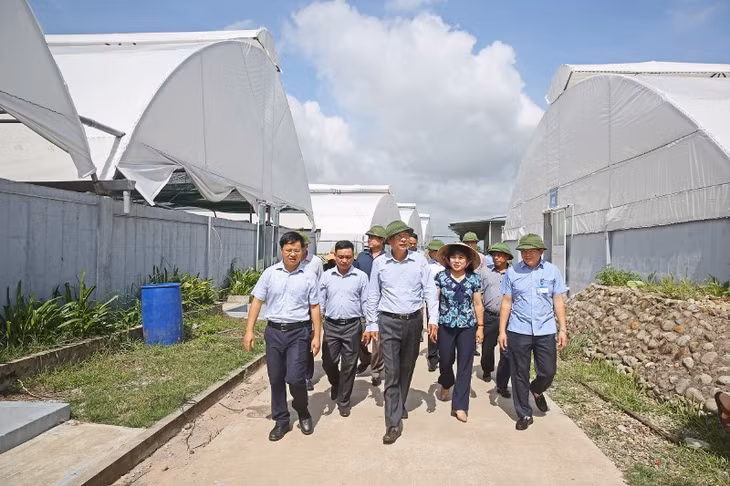 广宁省省委书记、人民议会主席阮文读莅临下龙生产投资与发展有限公司的高技术秧苗生产与海产育种中心进行检查。