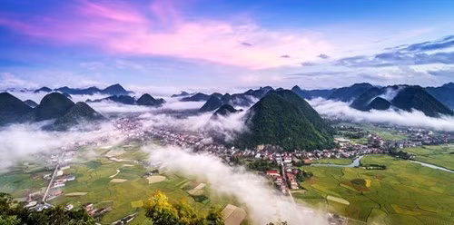 稻谷成熟季节，棕色的土地、金黄色的稻谷、绿油油的稻谷嫩芽构成丰富多彩的画图（图片来源：vnexpress.net）