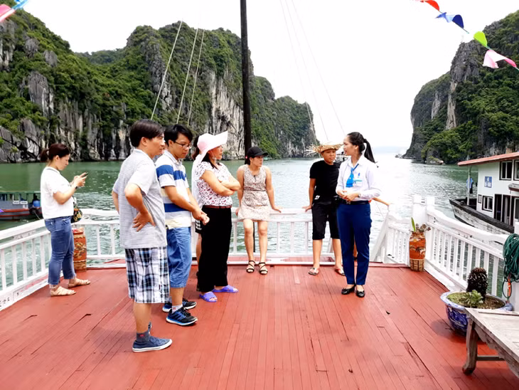 下龙湾管理委员会在下龙湾上安排免费导游