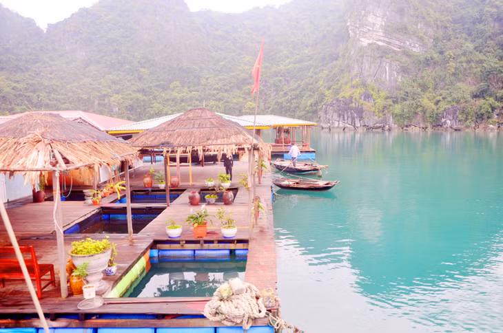 Ban mai về trên khu nhà nổi phục vụ khách du lịch tham quan