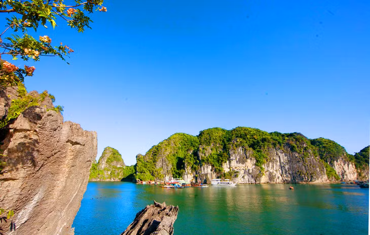 Một góc yên bình, tươi đẹp ở khu vực Vung Viêng