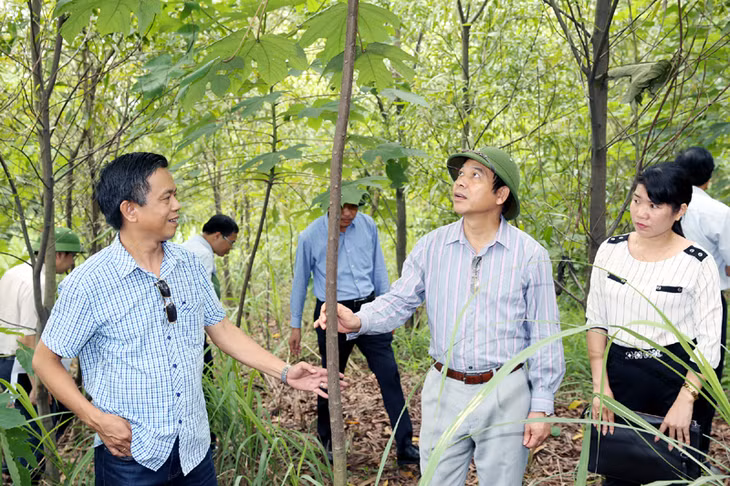 广宁省副主席邓辉后视察肥山煤炭公司取油树面积(图片来源:广宁报)。
