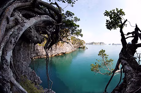 世界自然奇观在旅游博览会特受欢迎。