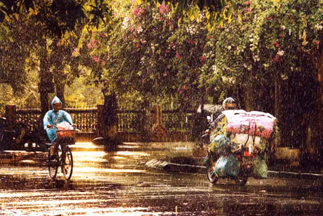街上雨景
