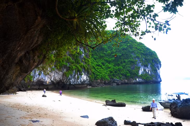 Đảo nhỏ trong áng Bù Xám phía nam Bồ Hòn, là một trong nhiều đảo xinh đẹp, ít dấu chân người.