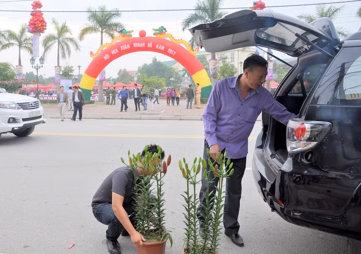 因为有高经济价值，所以横葡县养花产业已经换新当地的农业面貌，成为许多民户经济发展的主力行业之一。