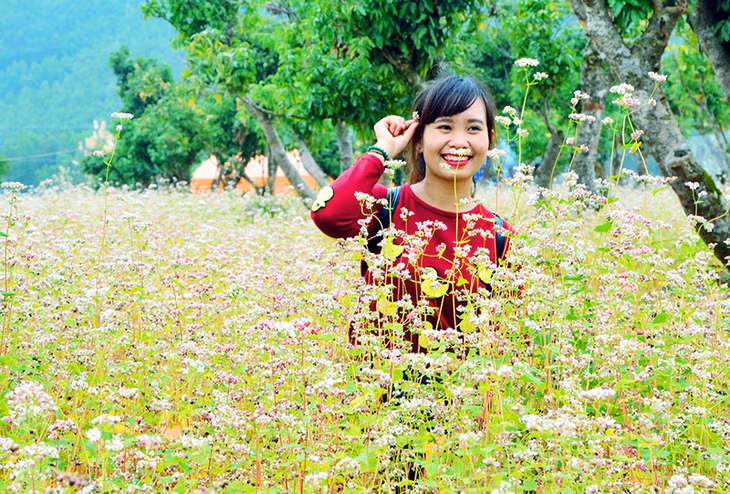 12月份花儿都开了。它们争芳斗艳，芬芳吐香，亭亭玉立，婀娜多姿，使花园花香袭人，十里飘香，让人流连忘返，感到心旷神怡。