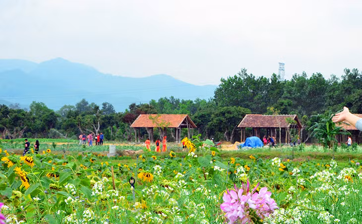 该生态旅游区于2016年1月正式开门迎客。