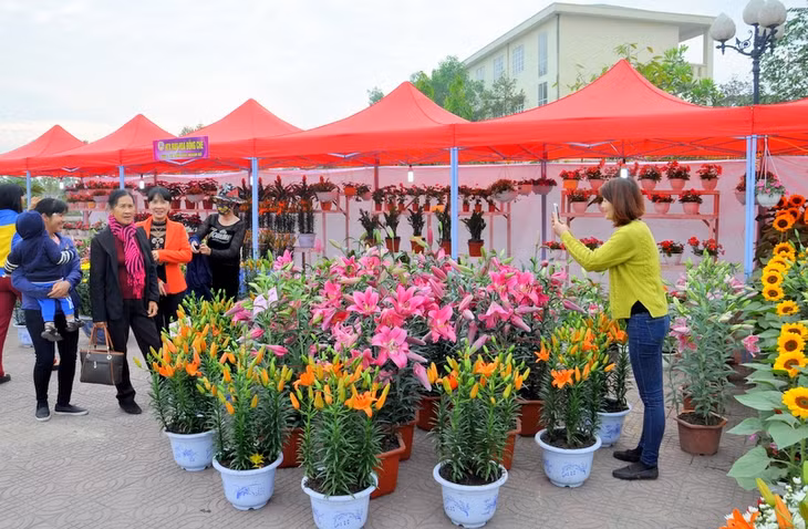 本次花节在本县中心公园举行，共有33个展位和鲜花40多种，主要是横葡县特有的花种。