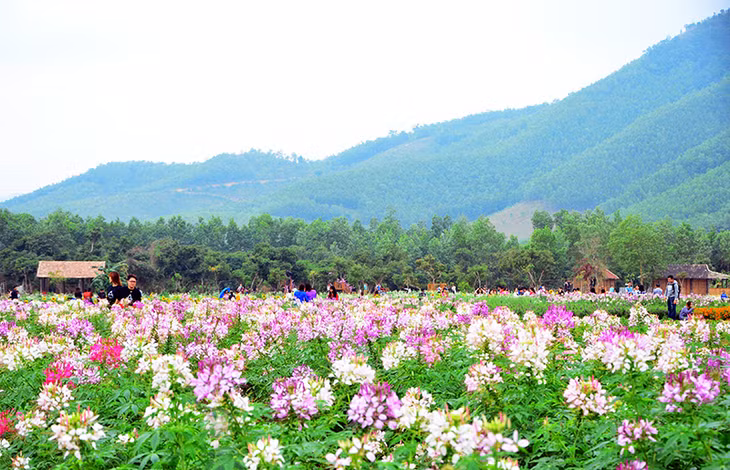 广罗天上花苑项目用地面积25公顷，预计投资总额700亿越盾。