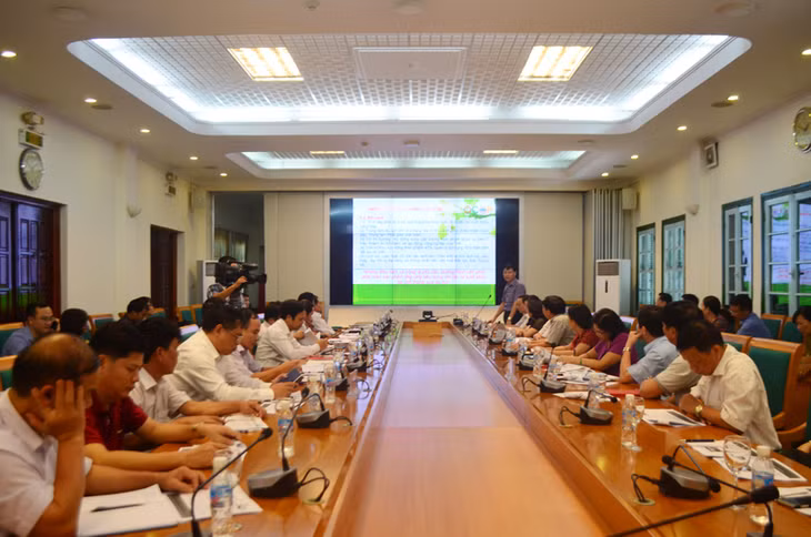 （图片来源： https://media.baoquangninh.com.vn/）