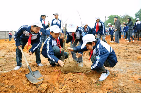 学生们积极参加种树活动。