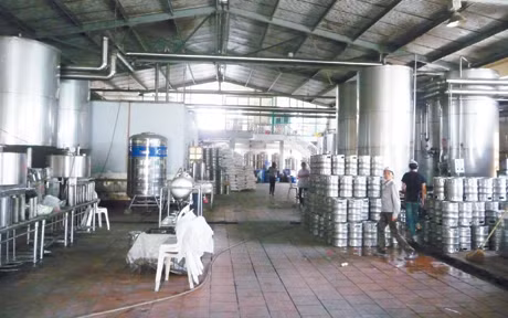 汪密市啤酒饮料责任有限公司的安子梅酒生产基地。