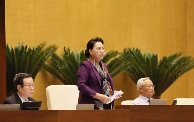 国会主席阮氏金银发表讲话。（图片来源：越通社）