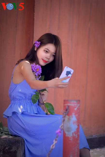  这也是许多越南姑娘喜欢的花卉。紫色的大花紫薇代表着忠贞不渝。