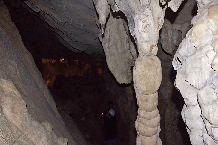 Trụ thạch nhũ như cột chống trong hang Đình Thu.