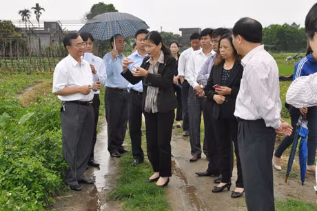 杜副书记视察海河县广明乡安全蔬菜园和药材园。