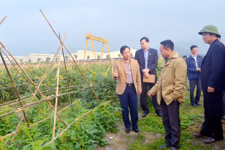 广宁省人委会常设副主席邓辉厚视察高科技应用农业中心生产工作。