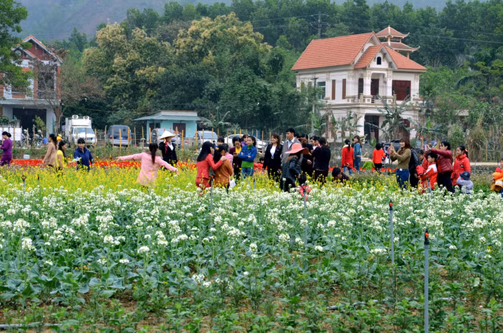 “广罗天上花苑”生态旅游区坐落在横菩县广罗乡6村，为水果花园生态旅游项目的第一阶段。据悉，项目总投资额约700亿越盾，占地面积25公顷。