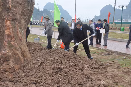党中央委员、省委书记范明正在市中心参加植树。