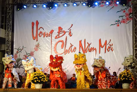 全省各地喜迎2013蛇年春节 ảnh 5
