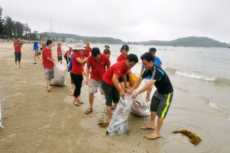 Tích cực dọn vệ sinh bờ biển Cô Tô.