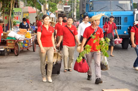 Các đoàn chuẩn bị cho cuộc hành trình ra đảo Cô Tô và không quên mang theo mình cây xanh để trồng lưu niệm trên đảo.