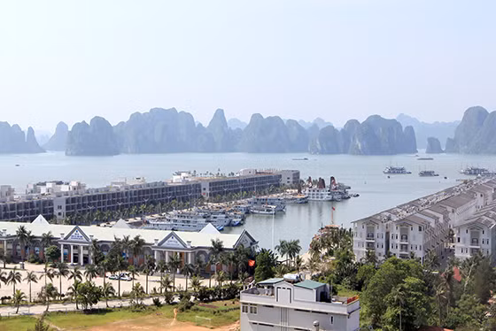 巡洲码头的水面面积11万1840平方米，长达1739.8米，U字形。