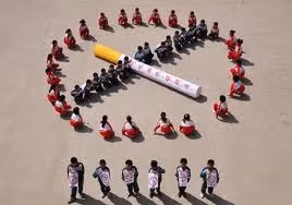 示意图