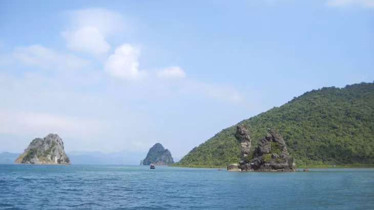 白子龙国家级自然保护区拥有80多个石灰石岛和陆地岛，造成美丽自然风光。