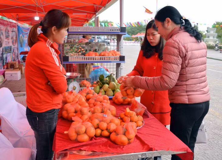Không chỉ có hoa, Hội hoa xuân Hoành Bồ còn có sự góp mặt của nhiều gian hàng trưng bày, giới thiệu và bán các sản phẩm OCOP của địa phương...