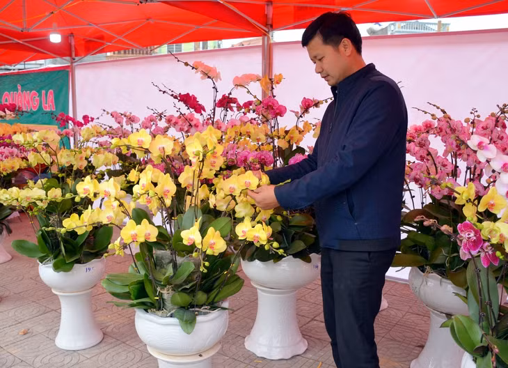 Tham gia Hội hoa xuân, các chủ vườn đều đưa đến những chậu hoa đẹp nhất của mình và chăm sóc cho hoa rất cẩn thận.