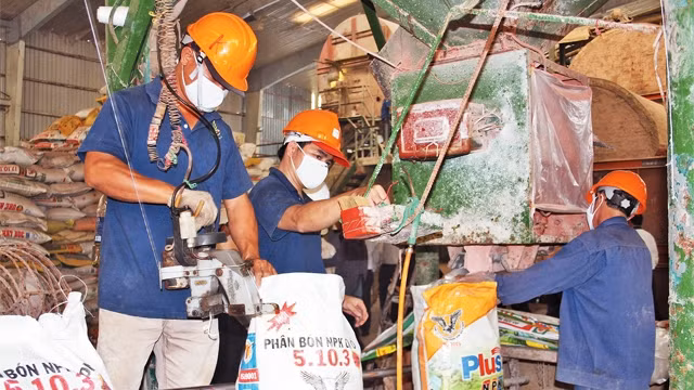 胡志明市各家企业过节后迅速进入工作状态。