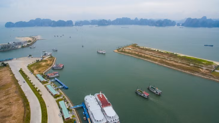 Cảng có tổng diện tích hơn 250ha, chiều dài neo đậu hơn 10km, có sức chứa hơn 2.000 tàu đáp ứng nhu cầu tham quan Vịnh Hạ Long của du khách.