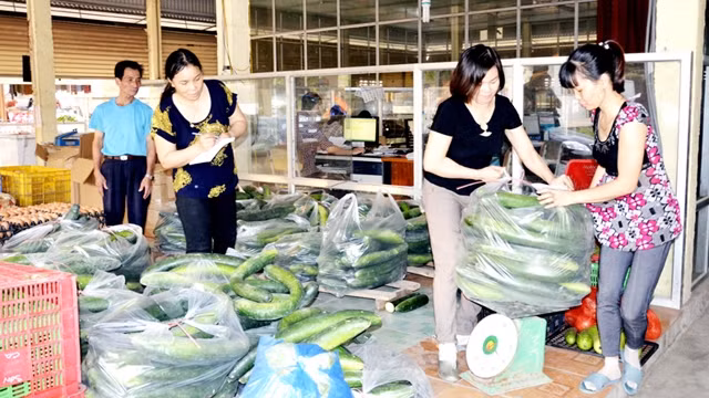 广宁省力争每年新增50个合作社。