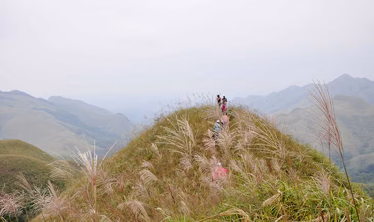 平辽美景。