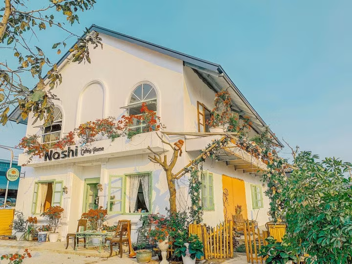 纳西（Nashi）店里有许多树木和纯黄油绿色调。
