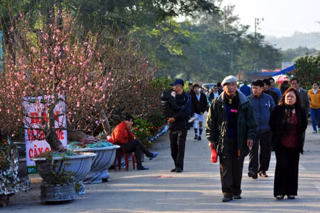 川流不息的人群参观花市