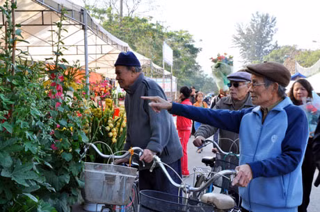 万紫千红的花奔吸引许多客户参观，购买。