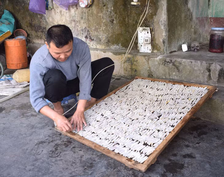 海河县沙虫OCOP产品在烘干加工前的准备环节。