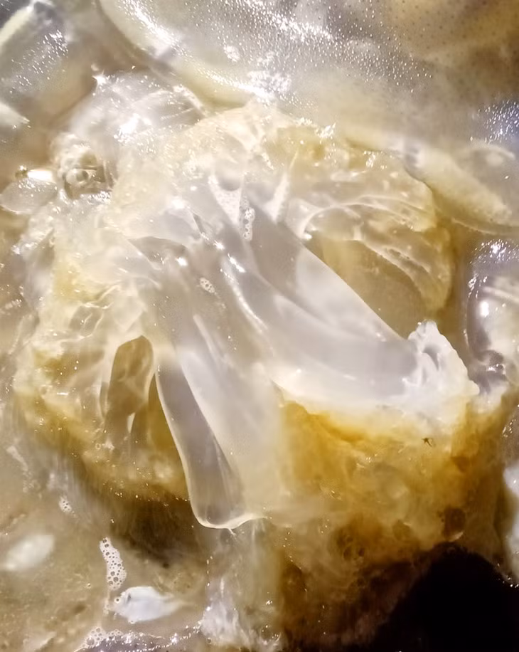  水母腿和香脆可口的水母帽子用作水母沙拉
