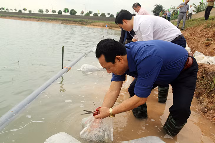 东朝市代表发放鱼苗