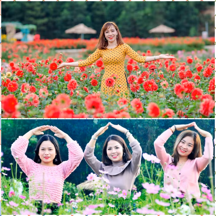 Mùa xuân với muôn hoa đua nở. Vì thế không khó hiểu khi bao hotgirl không quản đường xa để có những bức hình bên hoa tại Thung lũng hoa Yên Tử.