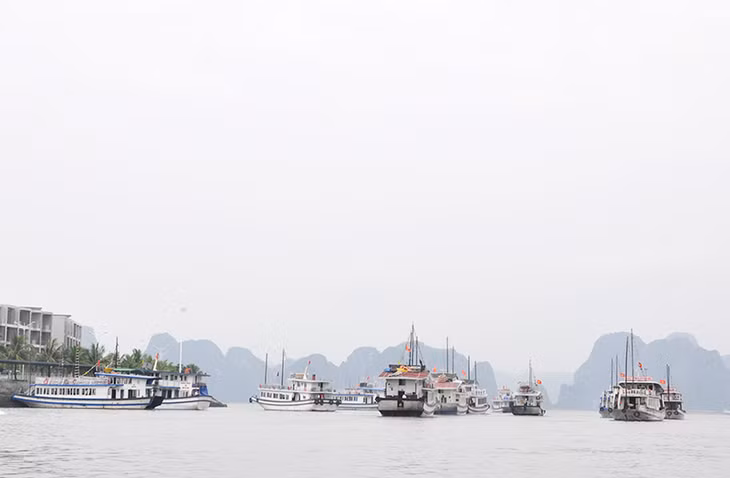下龙湾景点门票是增速较快且稳定的收入来源。