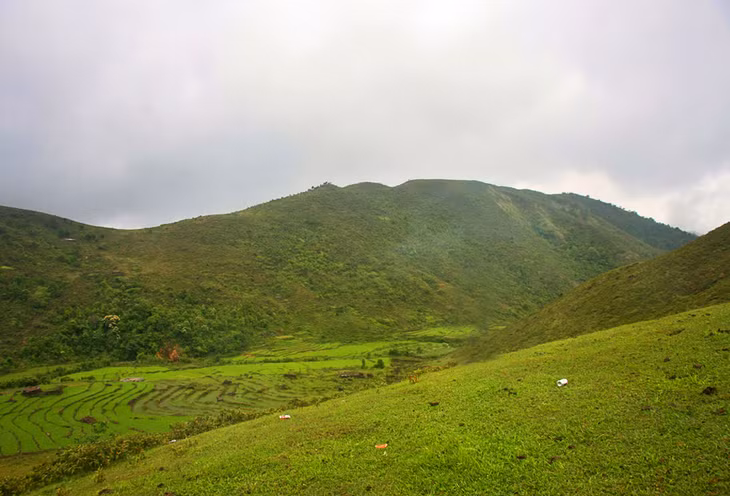 高山草原的美丽景色