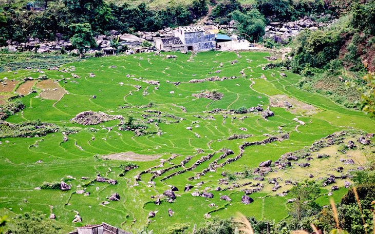 旭洞乡美景