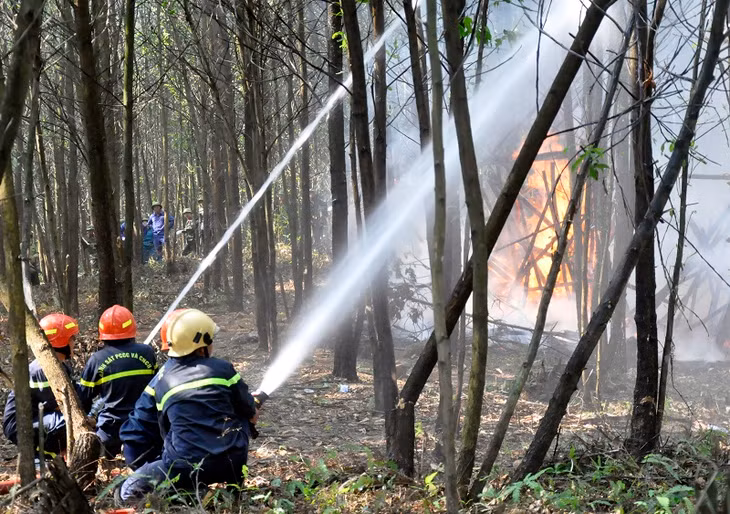 模拟当地人民在燃烧植被准备种植田地意外发生火灾、新发现火势蔓延0.2公顷的火情以及火势高达2米多、火线扩大至0.5公顷