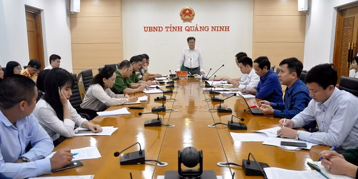 广宁省人委会副主席裴文康召开会议。